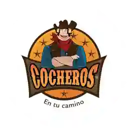 Cocheros Boita a Domicilio