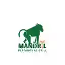 Mandril Platanos Al Grill