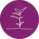 Bottaniko - Chapinero