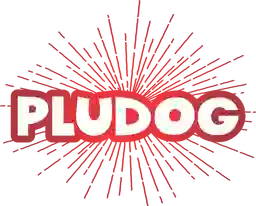 Pludog -Turbo a Domicilio