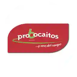 Probocaitos. a Domicilio