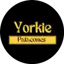 Yorkie Patacones - La Popa