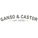 Ganso y Castor