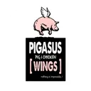 Pigasus - Turbo