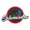 Salamandra - Cúcuta