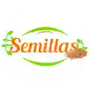 Semillas