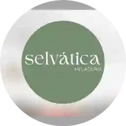 Selvatica Heladeria a Domicilio