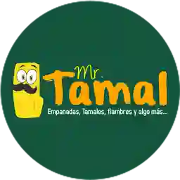 Mr Tamal la Central a Domicilio