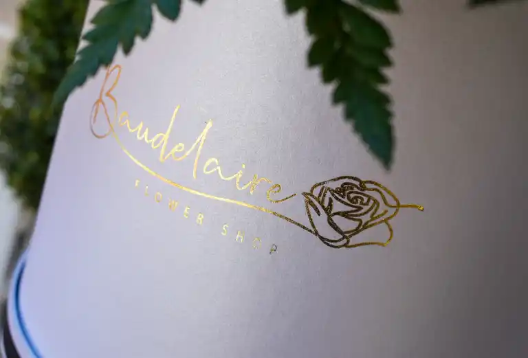 Baudelaire Flower Shop a Domicilio
