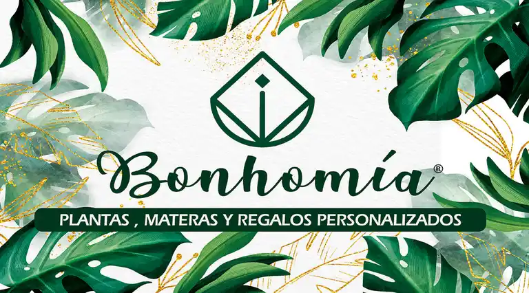  Bonhomia a Domicilio