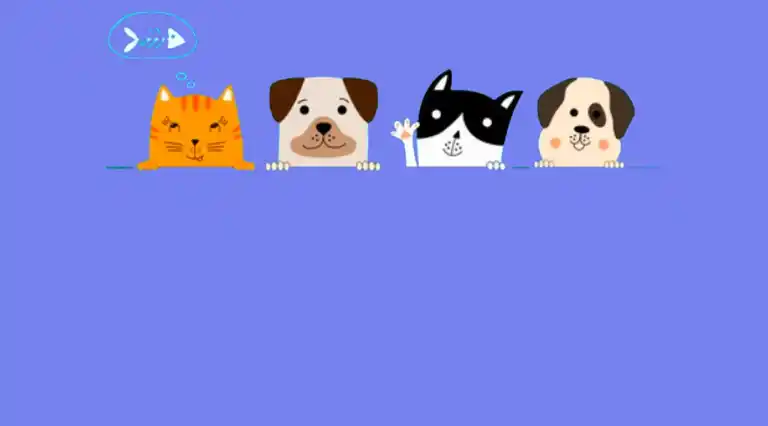 Castell Pet a Domicilio