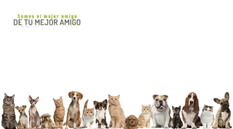 Centro Veterinario Country Can a Domicilio