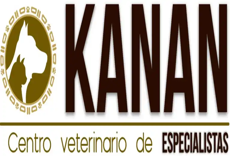 Centro Veterinario De Especialistas KANAN a Domicilio