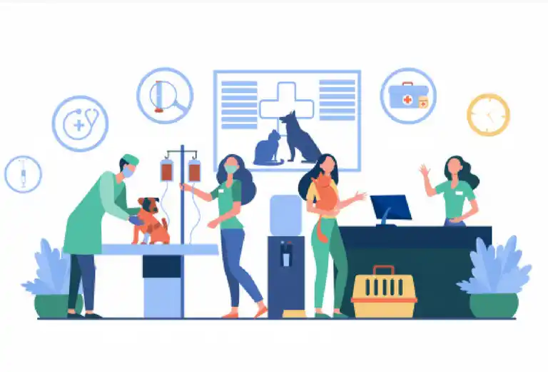 Clínica Veterinaria San Lucas a Domicilio