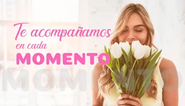 Floristeria Ebenezer a Domicilio