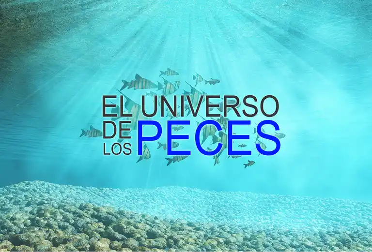 El Universo De Los Peces a Domicilio