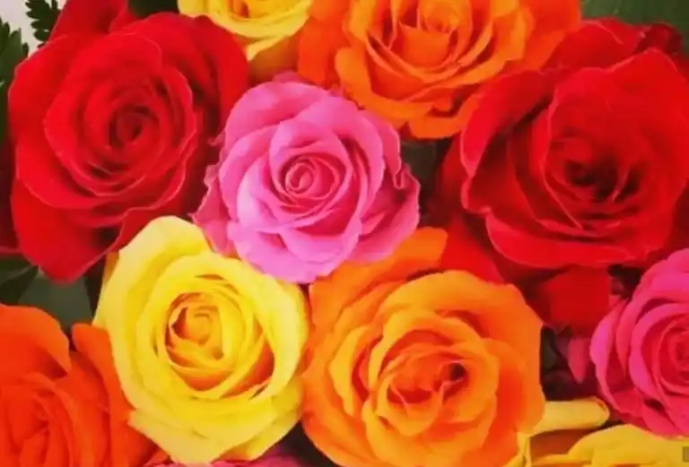 Floristeria Florency a Domicilio