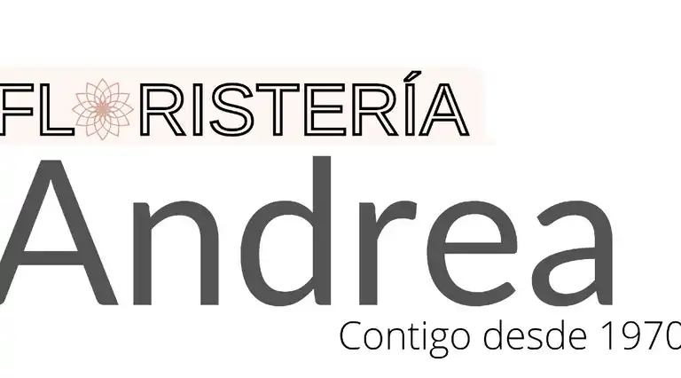 Floristeria Andrea Flor a Domicilio