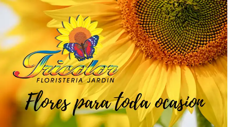 FLORISTERIA JARDIN TRICOLOR a Domicilio