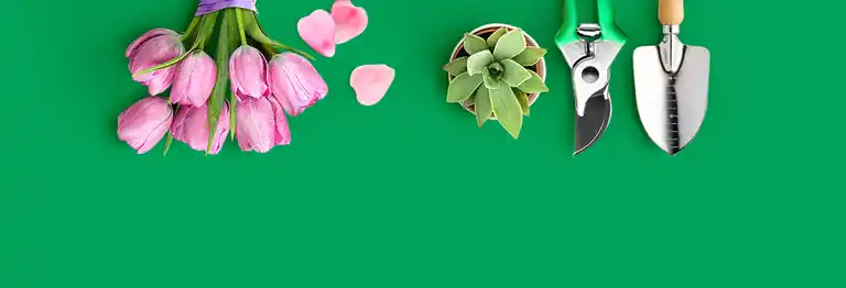 Floristeria Mil Detalles a Domicilio
