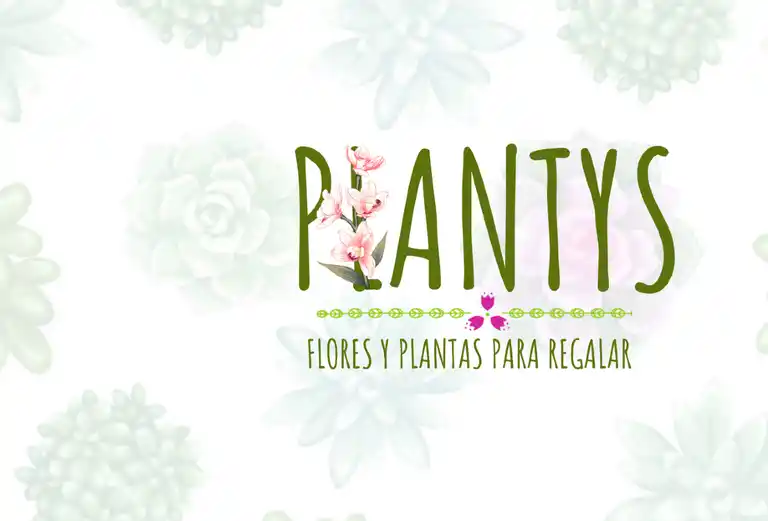 Plantys Bogota a Domicilio