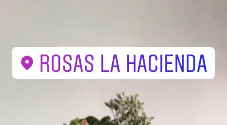 Rosas La Hacienda a Domicilio