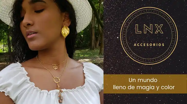 LNX Accesorios a Domicilio