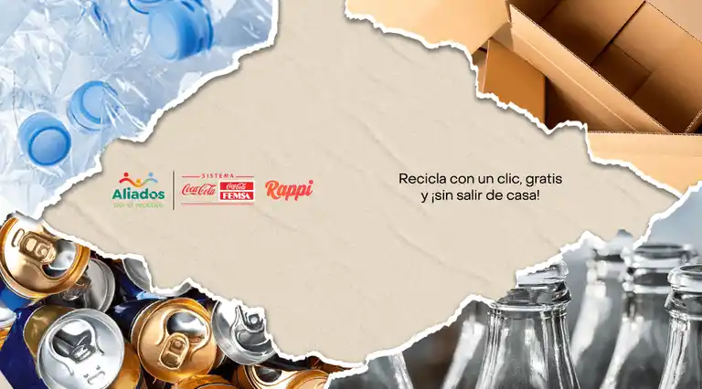 Reciclaje a Domicilio