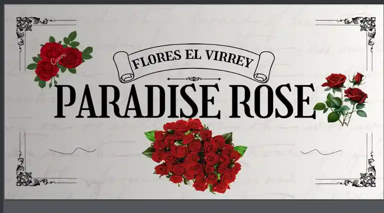 Paradise Roses a Domicilio