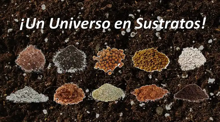 BioEspacio Sustratos a Domicilio