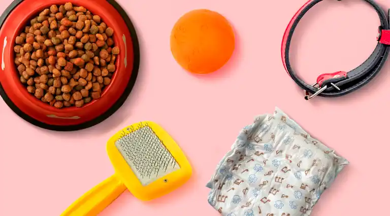 Dogsy Pet Food a Domicilio