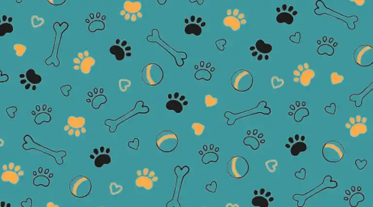 Cute Pets a Domicilio