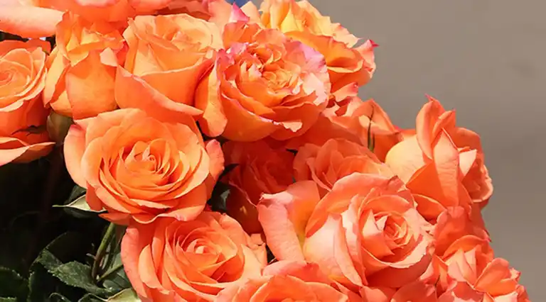 Don Eloy: Calle 90 a Domicilio