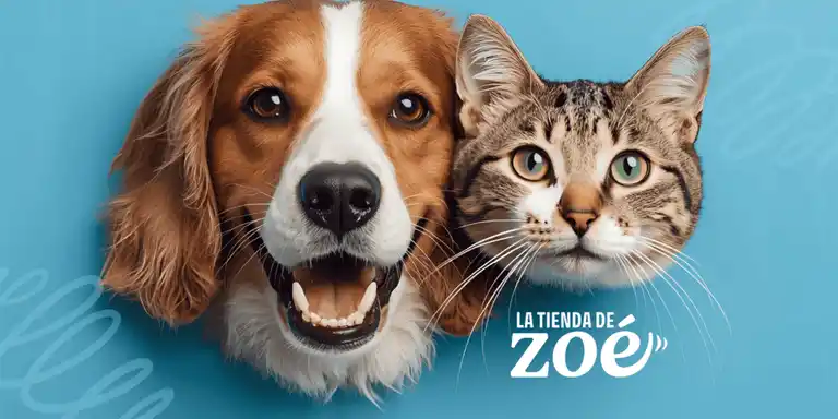 La Tienda De Zoé a Domicilio