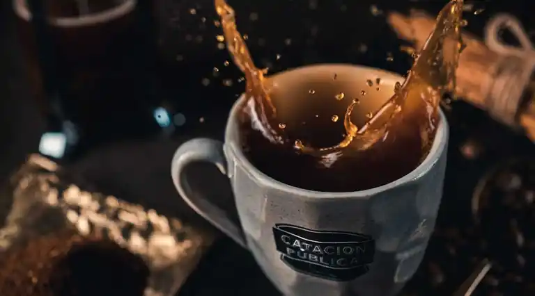 Catación Pública  a Domicilio