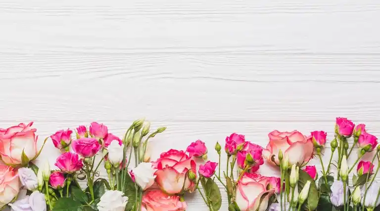 Flores Petalovers a Domicilio