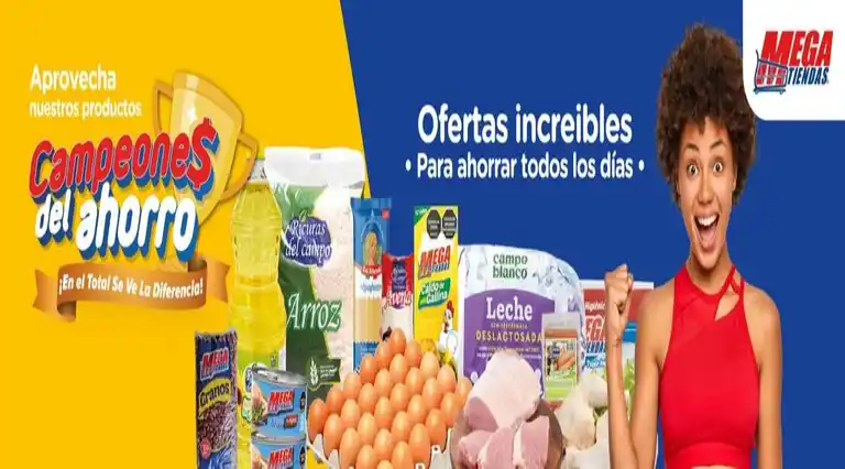 Megatiendas a Domicilio