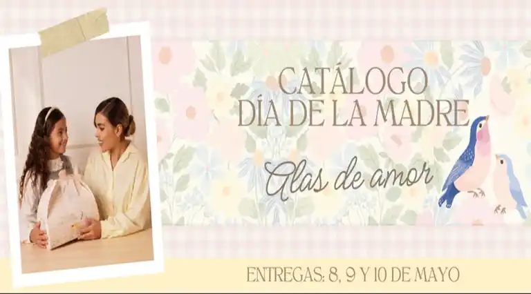 Celesttino Desayunos Y Anchetas Medellín a Domicilio