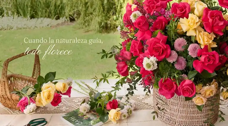 Rosas Don Eloy a Domicilio