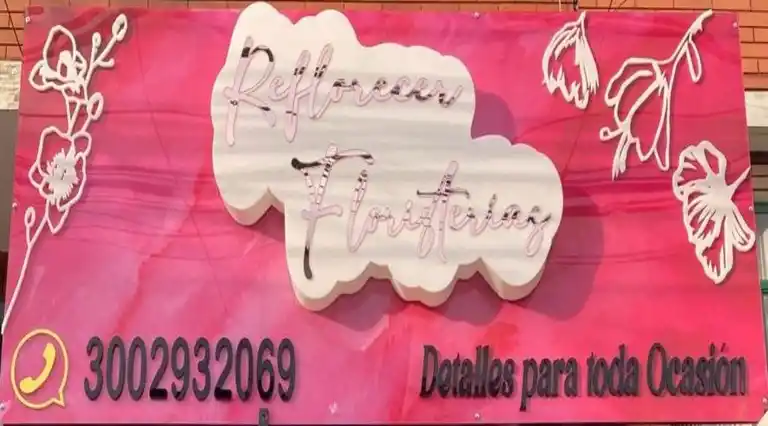 Reflorecer Floristerías a Domicilio