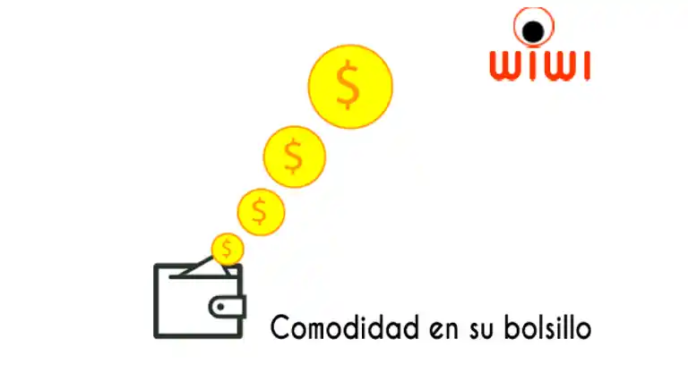 Wiwi a Domicilio